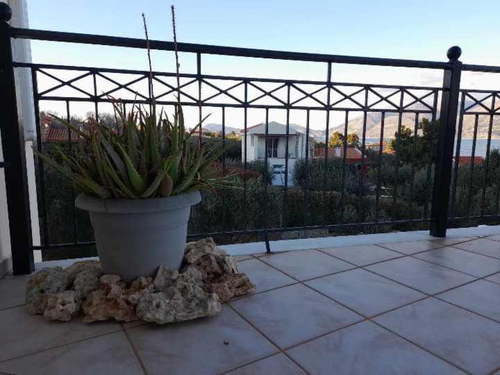 Apartment Elia *